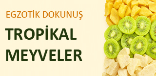 Tropikal Meyveler