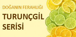Turunçgil Serisi